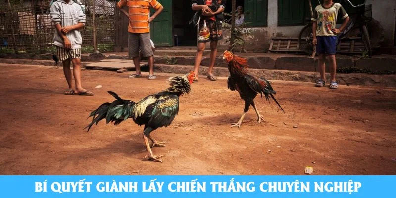Bí quyết giành lấy chiến thắng chuyên nghiệp